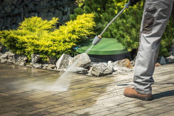 Best Gutter Cleaning  in Palm Shores, FL