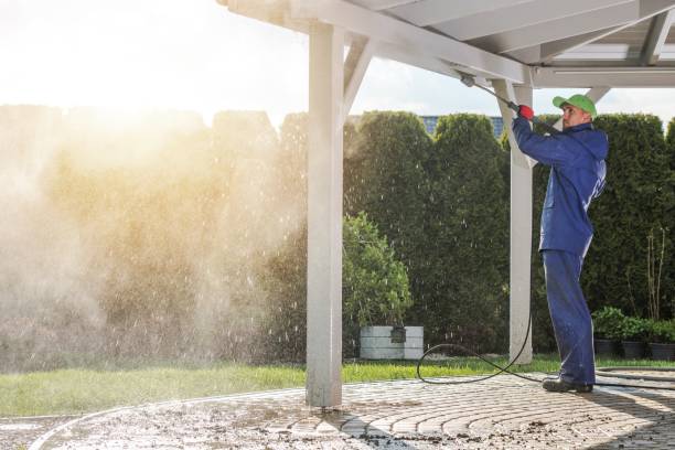 Best Roof Washing  in Palm Shores, FL