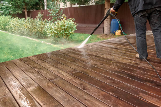 Professional Pressure Washing Services in Palm Shores, FL