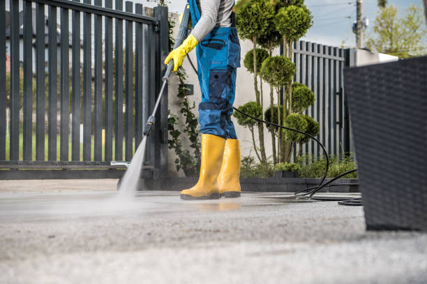 Best House Exterior Washing  in Palm Shores, FL
